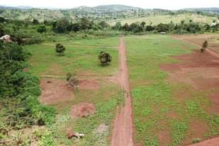 A picture of PLOTS OF LAND ON SALE