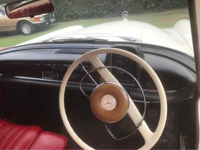 Classic,Muscle A.