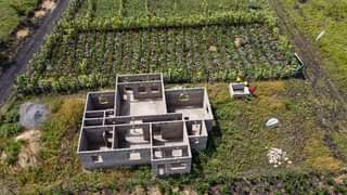 makutano plots