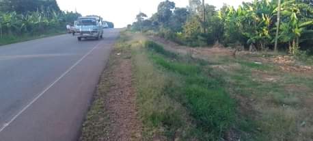 A picture of PLOTS IN NALONGO TRADING CENTER AVAILABLE FROM AS LOW AS