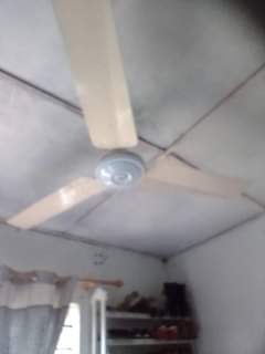 A picture of Feni PangaBoy