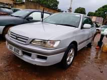 Mugula F.