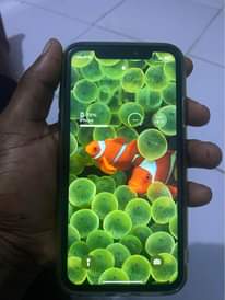 A picture of iphone xr