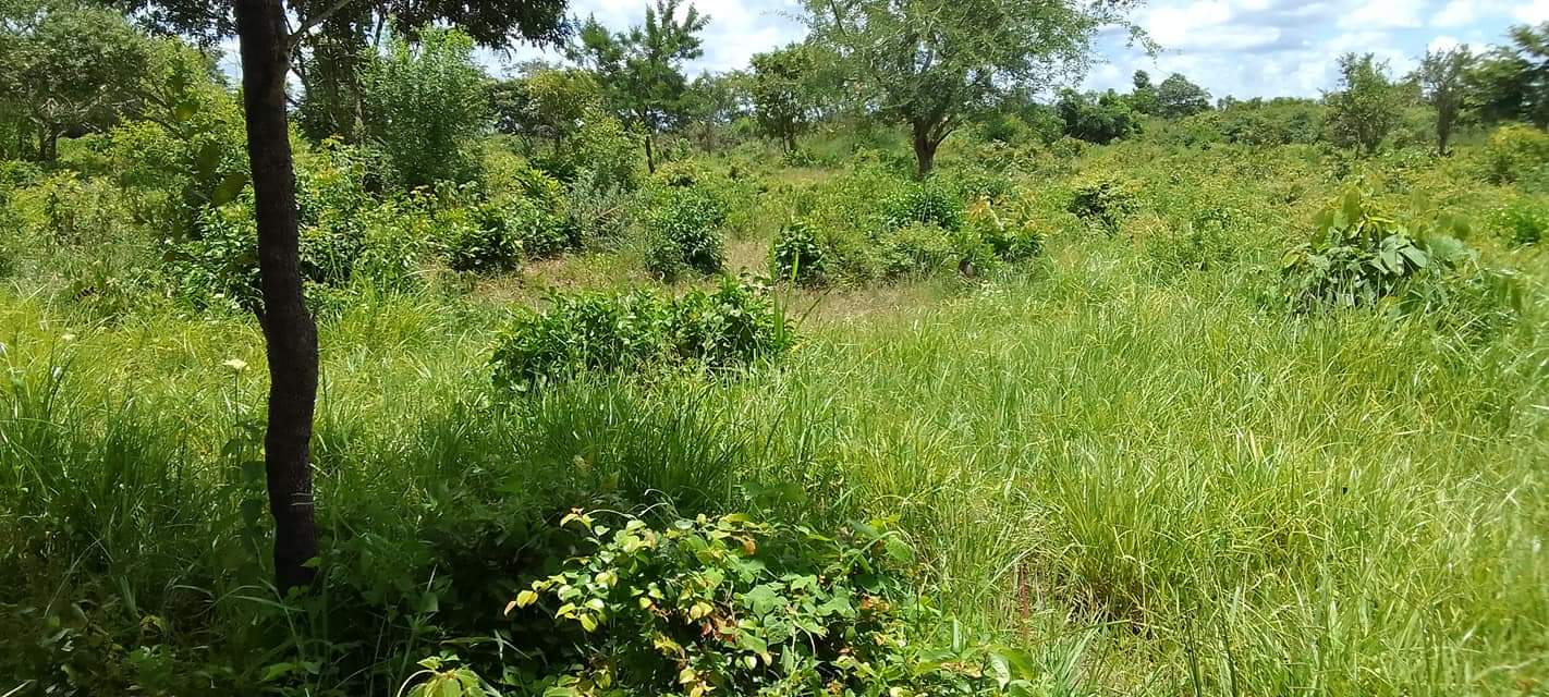 A picture of ZIMEBAKI HEKA 15 SHAMBA LIPO MZENGA WILAYA YA KISARAWE MKOA