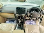 A picture of 2022 TOYOTA LANDCRUISER PRADO TZG