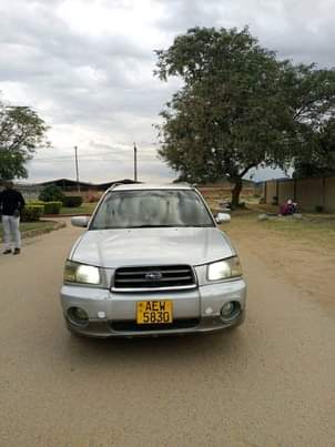 subaru forester