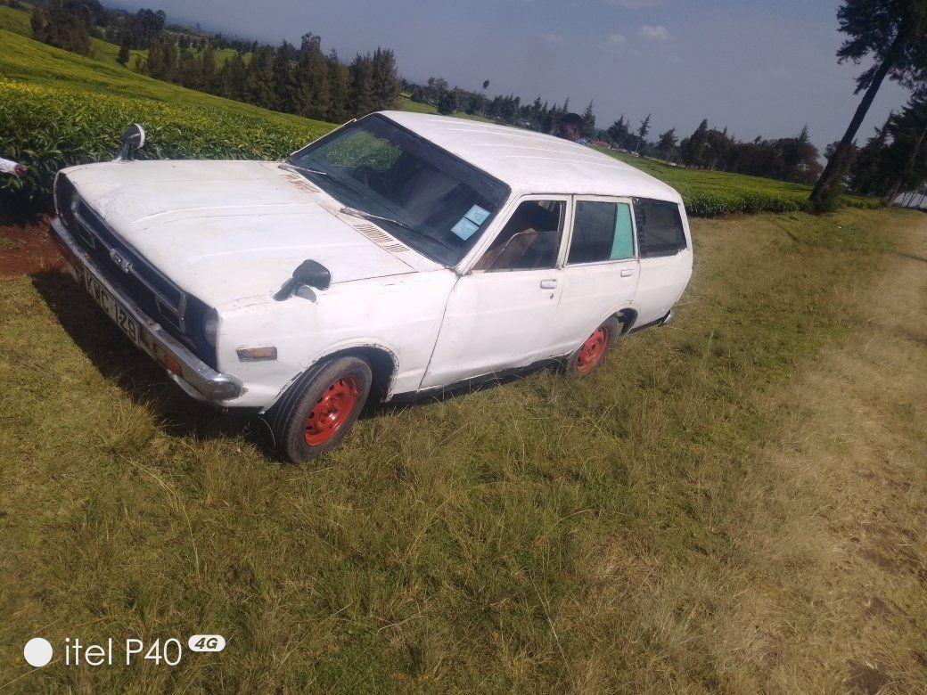 datsun