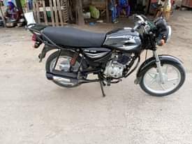 A picture of Boxer mb