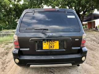 A picture of Ford escape