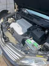 A picture of 012 registered toks standard venza
