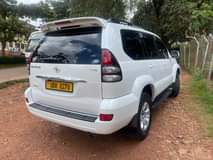used toyota prado