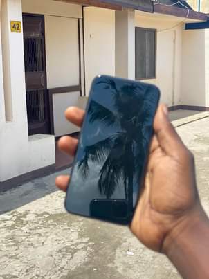 A picture of iPhone x