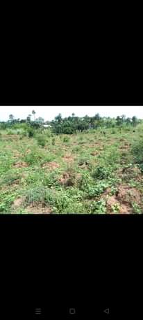 A picture of Land Property For Sale