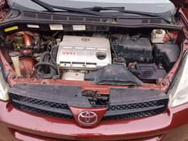 A picture of 06 sienna