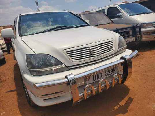 A picture of Harrier ordinary on sale