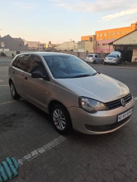 polo vivo