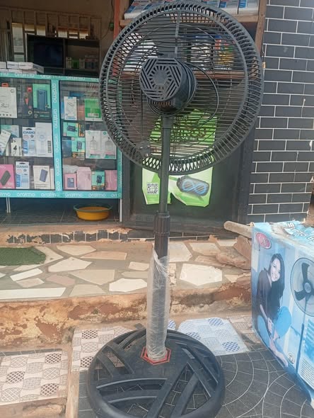 A picture of Fan