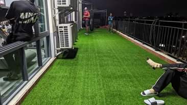 A picture of Carperts Zuliaa