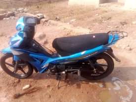 A picture of Tvs ruber ruber