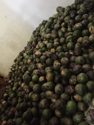 A picture of Passion Fruits