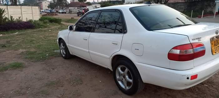 used toyota corolla