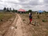 A picture of TUNAUZA VIWANJA VIKINDU VIANZI BEI POA KUONA SITE BURE USAFIRI