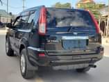 A picture of Nissan xtail