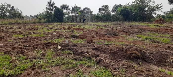 A picture of Land for sell