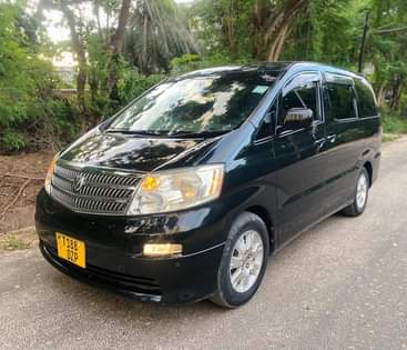 A picture of Alphard
