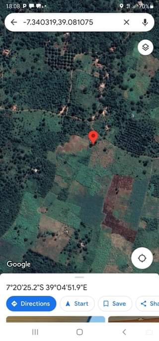 A picture of SHAMBA LINAUZWA