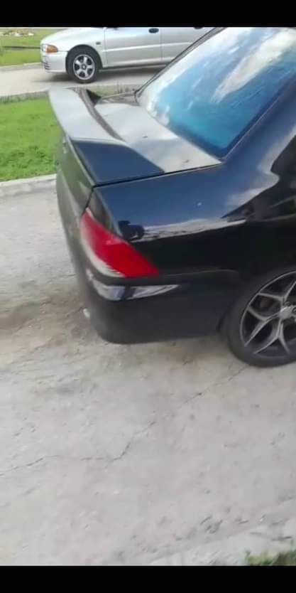 Polo B.