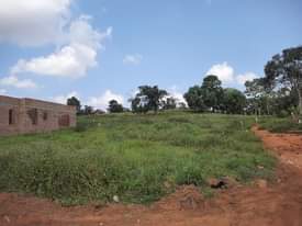 A picture of PRIME ESTATE PLOTS 12DECIMALS IN BULOBA TOWN AT UGX40M