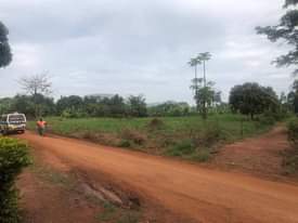 A picture of 2 acres titled land