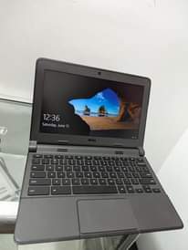A picture of Dell miduan size