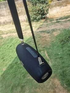 A picture of S67 zealot