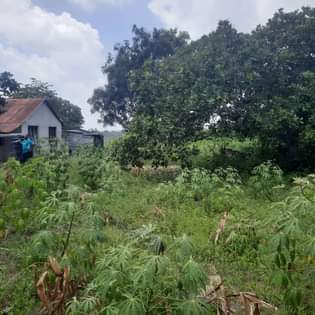 A picture of SHAMBA LA EKARI 3 LINAUZWA FUKAYOSI BAGAMOYO