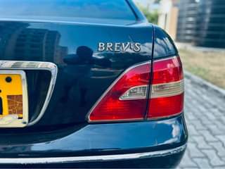 A picture of Brevis Nauza