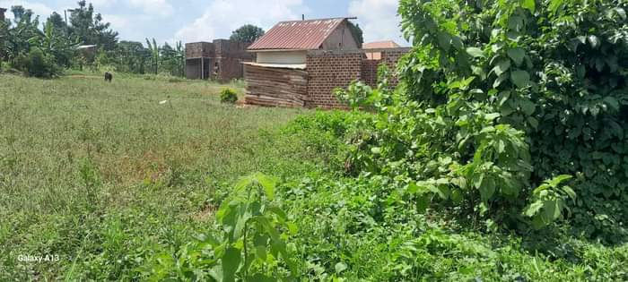 A picture of Plots