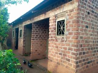 Onyango J.