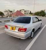A picture of Carina ti