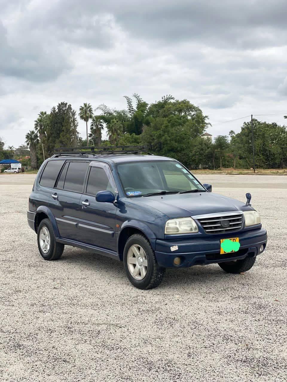 suzuki