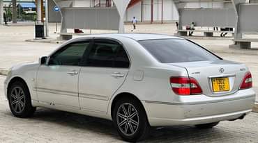 A picture of Brevis