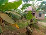 A picture of GOOD DEAL House On Quick Sale 27m Its location at