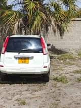 A picture of Nissani