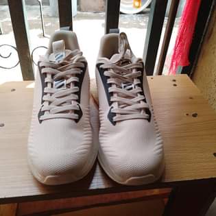 A picture of Brand New sneakers