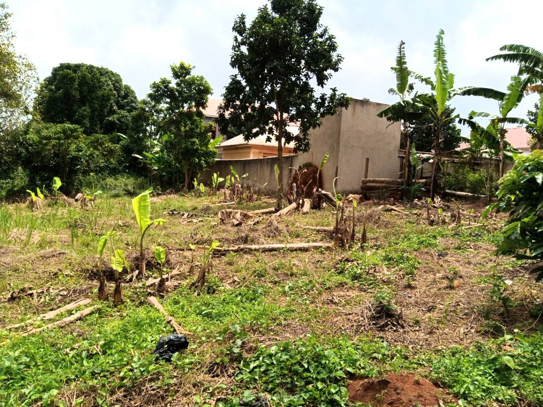 A picture of Plot on sale 100by100 at 78m few meters from Kiwenda