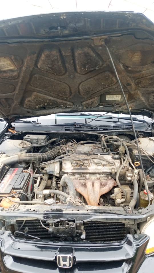 A picture of Honda Accord baby boy