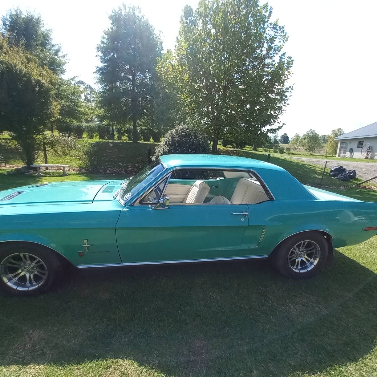ford mustang