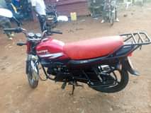 A picture of HUNTER FOR SALE 1 85M Call Or Whatsapp 0772995758 0772995758