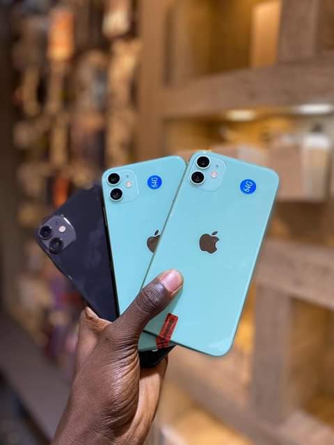 A picture of IPhone 11 plain